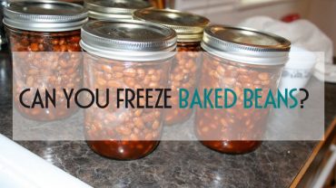 can-freeze-baked-beans