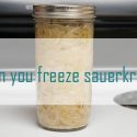 can-freeze-sauerkraut1