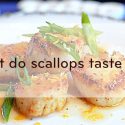 What-do-scallops-taste-like